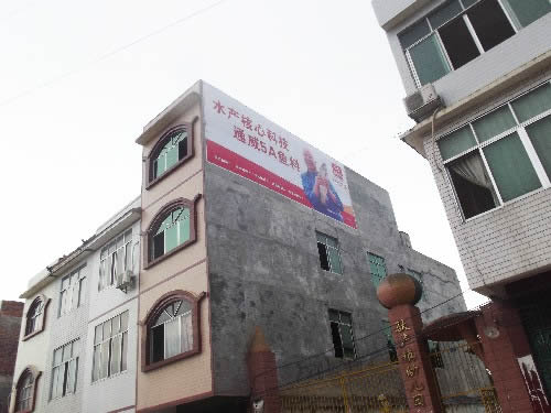 杭州哪家墙体广告公司做墙体广告比较好